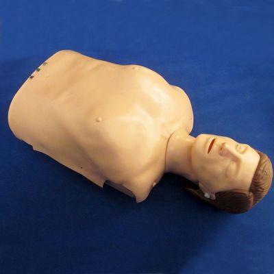 전자 부스트 심폐소생술 훈련 마니킨 환자 돌봄 예시 고급 PVC