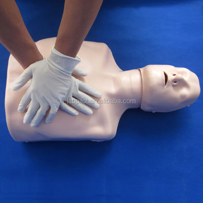 반 몸 CPR 훈련 인형 당신의 긴급 기술 교육에 완벽한 추가