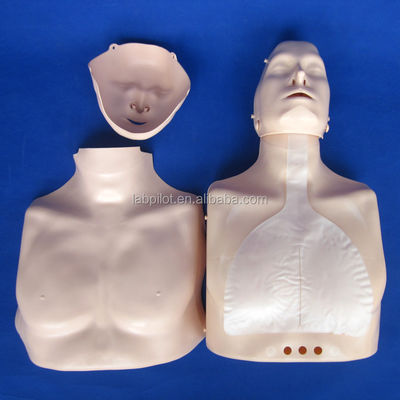 반 몸 CPR 훈련 인형 당신의 긴급 기술 교육에 완벽한 추가