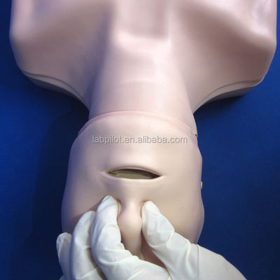 반 몸 CPR 훈련 인형 당신의 긴급 기술 교육에 완벽한 추가