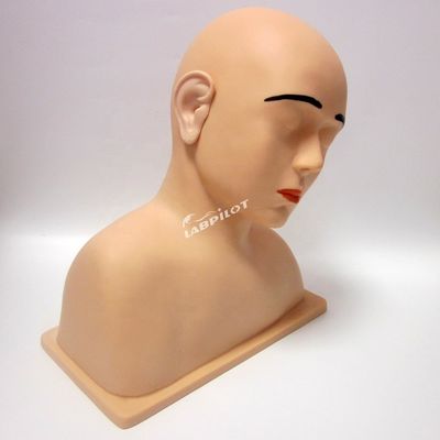 인간의 생체 크기 생생한 귀 모델 귀 관개 훈련 시뮬레이터의 궁극적인 도구