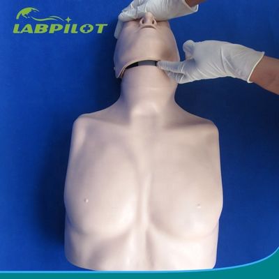 간단한 유형 첫 구호 반 몸 CPR 훈련 학교 교육 시설을 위한 마니킨