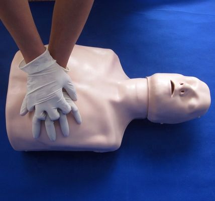 간단한 유형 첫 구호 반 몸 CPR 훈련 학교 교육 시설을 위한 마니킨