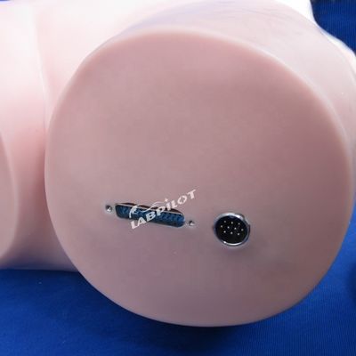 간호 교육 및 현실적인 인간 시뮬레이션을위한 복부 발작 시뮬레이터