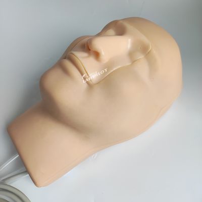 환자를 위한 생생한 머리 및 목 모델 코출혈 시뮬레이터