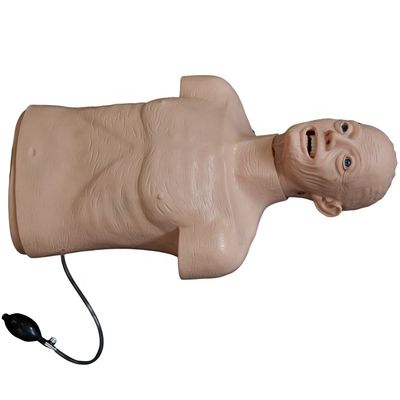 고급 PVC 인형 노인 부활 및 관 관 관술 훈련의 최상위 선택