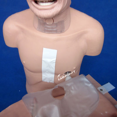 고급 PVC 인형 노인 부활 및 관 관 관술 훈련의 최상위 선택