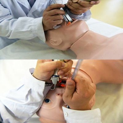 고급 PVC 인형 노인 부활 및 관 관 관술 훈련의 최상위 선택