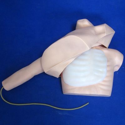 주변 정맥 펑크션 및 중앙 정맥 카테터 삽입 교육 모델 PICC 시뮬레이터