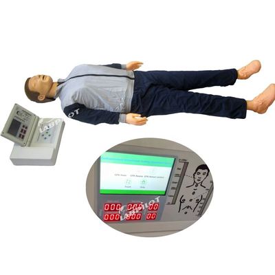 진전형 심폐소생술용 인형 프린터 1차 진료 교육용 인형 인형 및 PVC