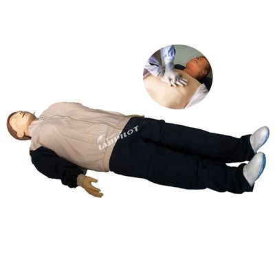 진전형 심폐소생술용 인형 프린터 1차 진료 교육용 인형 인형 및 PVC
