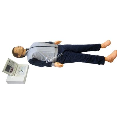 현실적인 인간 인형 대형 LCD 부활 교육 모델 성인 CPR 훈련