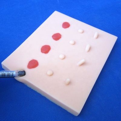 생생한 병리성 피부 질환 부종 모델 의학적 교육 꿰매기 패드
