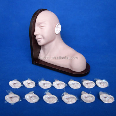 의료 교육 귀 검사 모델 현실적인 인간 시뮬레이션 14 PC 세트