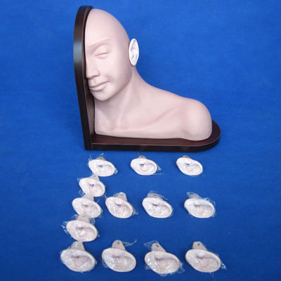 의료 교육 귀 검사 모델 현실적인 인간 시뮬레이션 14 PC 세트
