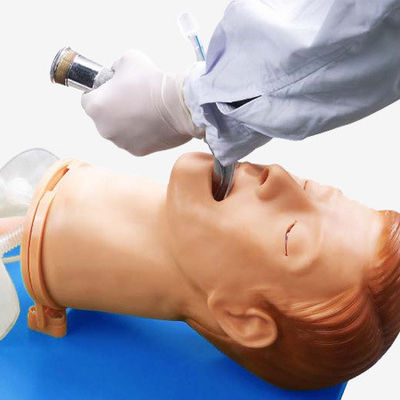 다기능 기관내 기관내 관절 훈련 모델