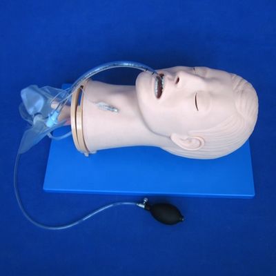 다기능 기관내 기관내 관절 훈련 모델