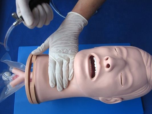 다기능 기관내 기관내 관절 훈련 모델