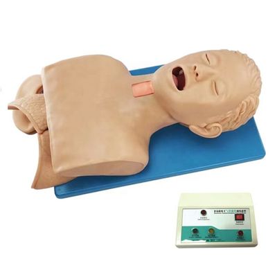 병원에서 호흡기 관절 관리 및 크리코이드 펑크를 위한 다목적 인간 시뮬레이터