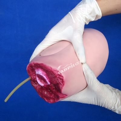 고급 PVC 모델 하부 다리 외상 허벅지 절단 간호에 대한 이상적인 해결책