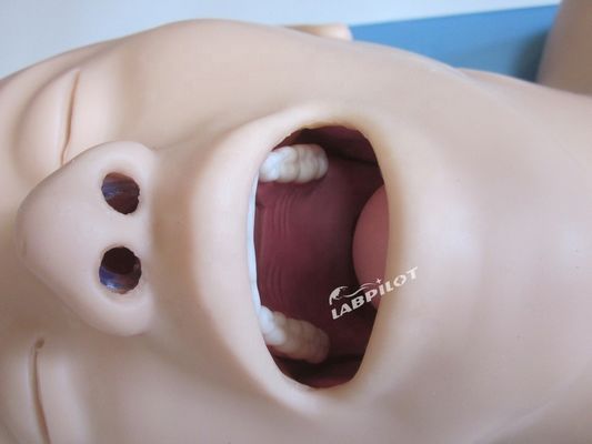 병원에서 호흡기 관절 관리 및 크리코이드 펑크를 위한 다목적 인간 시뮬레이터