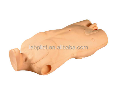 중앙 정맥 주입 및 펀처 기술 개발을 위한 고급 PVC 몸체 모델