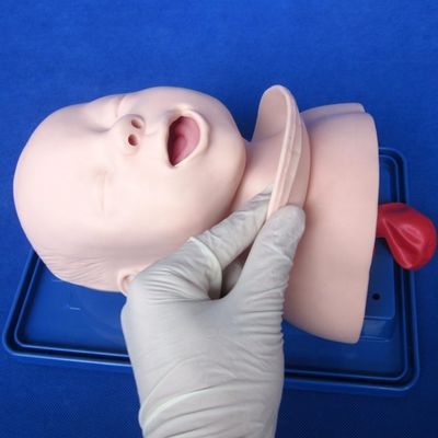 생생한 영유아 머리 모델 및 영유아 관절 훈련을위한 경제적인 소아 인형