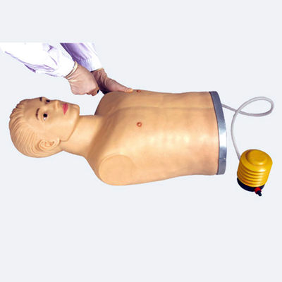 임상 기술 증명 및 훈련용 고급 PVC 흉부 펑크 마니킨