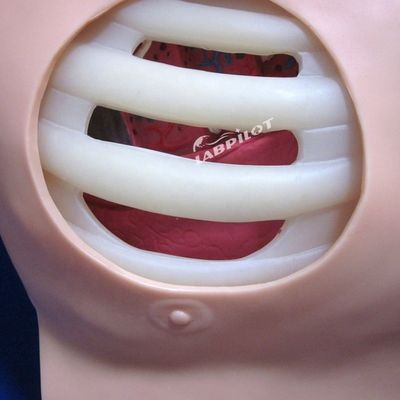 퓨라 펑크션 배수 및 흉부 수리 간호 훈련을위한 고급 PVC 마니킨