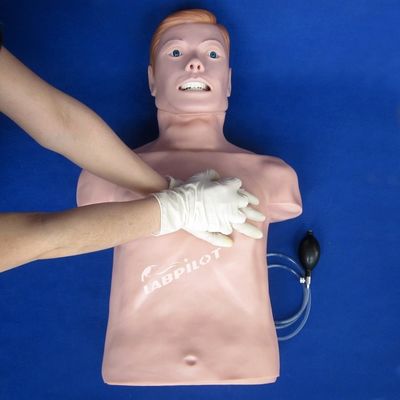 성인 반체 CPR 및 관 관 관 훈련을위한 전문 인적 생명 크기 마닉인