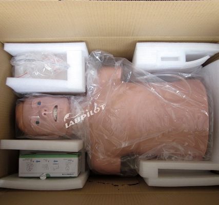 성인 반체 CPR 및 관 관 관 훈련을위한 전문 인적 생명 크기 마닉인