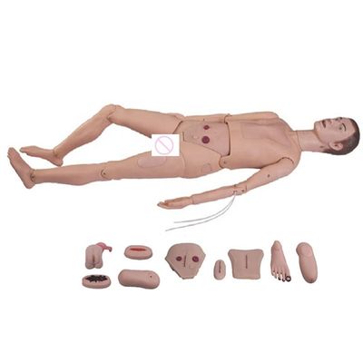 다기능 복합 환자 간호 마니킨에 대한 관 관 관 훈련 모델