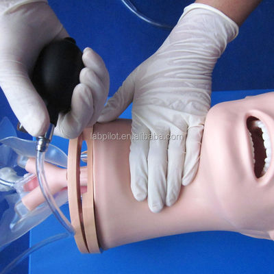 의료 인튜베이션 및 흡입 훈련에 대한 고급 PVC 호흡기 관리 모델