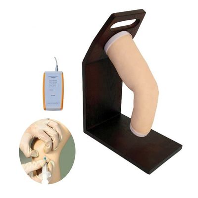 인간 팔꿈치 모델을 위한 고급 PVC 관절 내 관절 주입 훈련 시뮬레이터