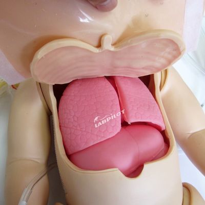완전 기능성 소아 심폐소생술 및 유아 간호 시뮬레이션용 고급 PVC 마니킨