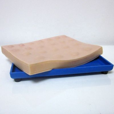 실습 외과 피부 모형 Abscess 절개 배수 연습을위한 큰 절개 패드