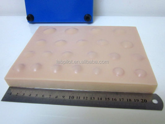 실습 외과 피부 모형 Abscess 절개 배수 연습을위한 큰 절개 패드