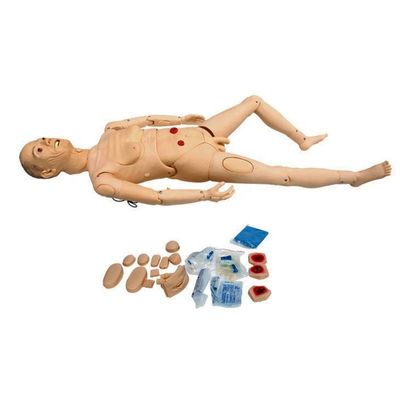 남성 노인 간호 인형 의료 대학 카테테리제 기능 훈련 Too