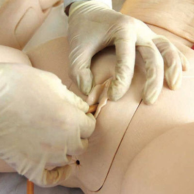 남성 노인 간호 인형 의료 대학 카테테리제 기능 훈련 Too