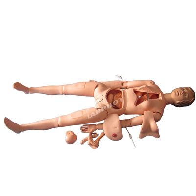 인간 생체 크기 간호 인형 환자를 위한 돌봄 시연 전체 몸 여성