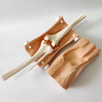 고급 무릎 관절 조명 모델 임상 간호 기술 훈련 고급 PVC 플라스틱