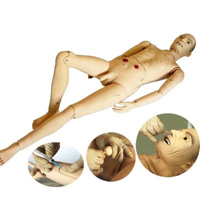혈압 기능이 있는 완전 기능성 노인 간호 교육 마니킨