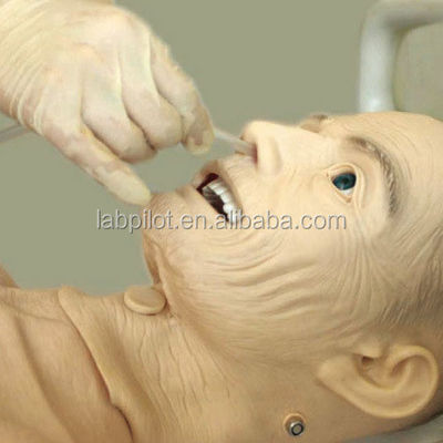 혈압 기능이 있는 완전 기능성 노인 간호 교육 마니킨