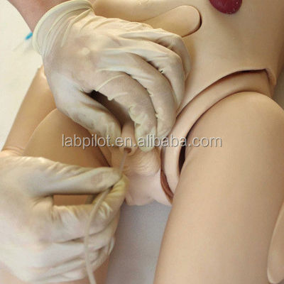 고급 PVC 심폐소생술 ECG 훈련에 대한 포괄적인 모성 및 소아치료 인형
