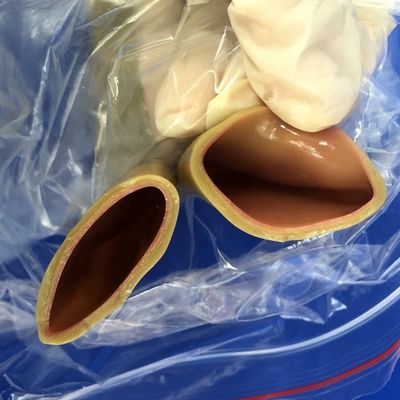 장내 안스토모시 실증 인체 시뮬레이션