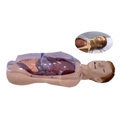 병원 클리닉 대학 간호학교 인간 생활 크기 세인스타켄-블레이크모어 NG 튜브 간호 훈련 시뮬레이터