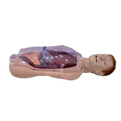 병원 클리닉 대학 간호학교 인간 생활 크기 세인스타켄-블레이크모어 NG 튜브 간호 훈련 시뮬레이터