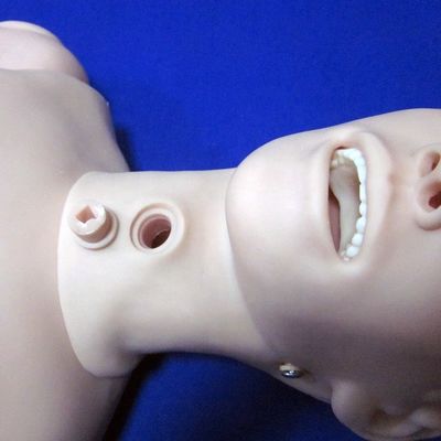 의료 과학 복합 기능 간호 유연한 개인 관리 훈련용 인형