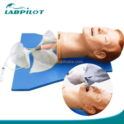 인튜베이션 훈련 시뮬레이터 인간 크기 인형과 함께 종합적인 호흡기 모델