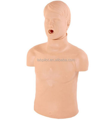 기본적인 응급 기술 훈련에 필요한 현실적인 인간 인형